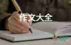 一場(chǎng)籃球比賽作文通用5篇