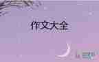 朋友圈讀后感作文6篇