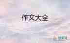 寫《節(jié)日》的作文最新5篇