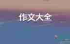 寫臺風(fēng)的作文模板6篇