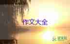 聞趣事作文優(yōu)秀7篇