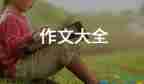 母愛為的作文5篇