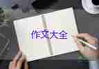 致畢業(yè)前的你作文最新7篇