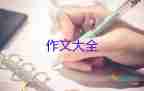 精選關(guān)于傳統(tǒng)文化作文范文4篇